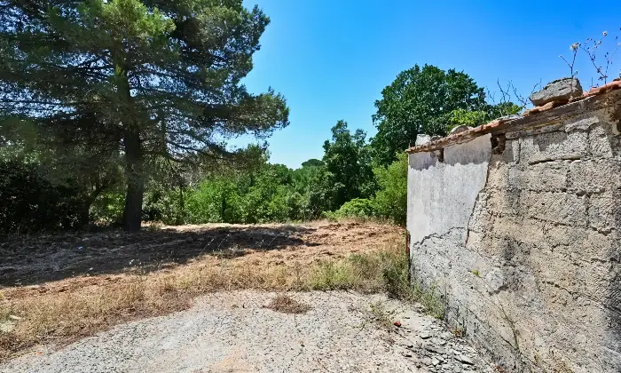 Rexer-Putignano-Trullo-con-Terreno-a-Putignano-BA-composto-da-coni-Altro