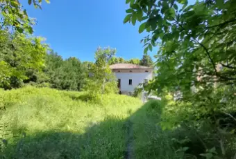 Rexer-Quistello-MN-Vendesi-casa-depoca-fine-a-Quistello-MN-Altro