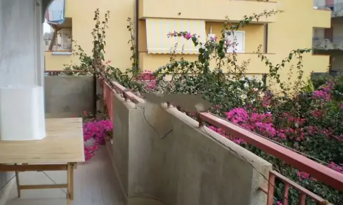 Rexer-Caulonia-Marina-Vendesi-bilocale-a-Caulonia-Altro