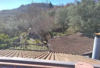 Rexer-Petilia-Policastro-Vendesi-propriet-rustica-a-Petilia-Policastro-Altro