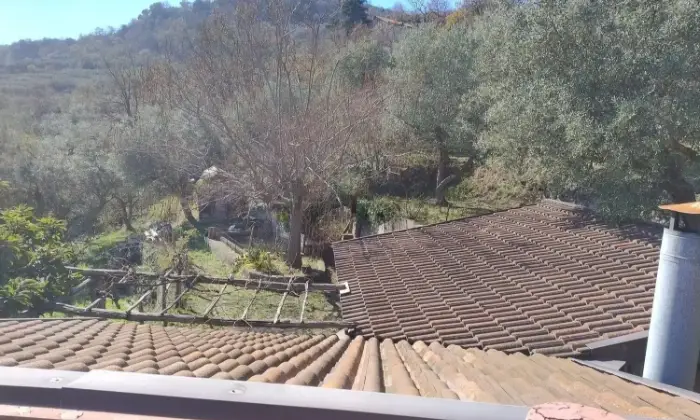 Rexer-Petilia-Policastro-Vendesi-propriet-rustica-a-Petilia-Policastro-Altro