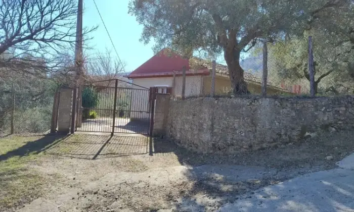 Rexer-Petilia-Policastro-Vendesi-propriet-rustica-a-Petilia-Policastro-Altro