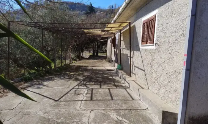 Rexer-Petilia-Policastro-Vendesi-propriet-rustica-a-Petilia-Policastro-Altro