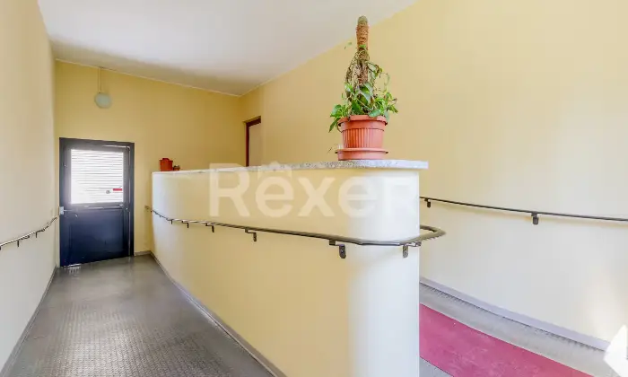 Rexer-Bareggio-Ampio-Tre-locali-Altro