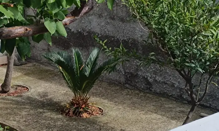 Rexer-Scalea-DIRETTAMENTE-COSTRUISCE-E-VENDE-Altro