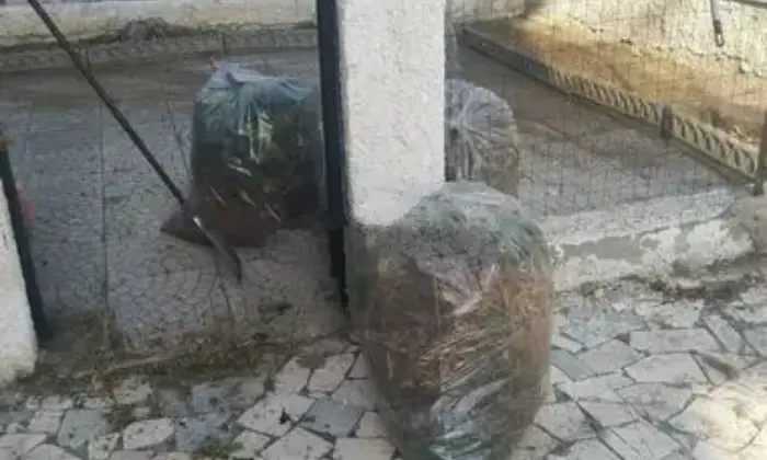 Rexer-Amantea-Vendesi-trilocale-Altro