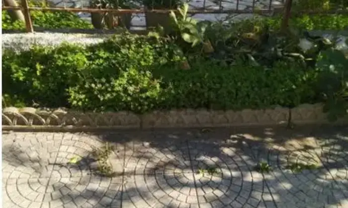 Rexer-Amantea-Vendesi-trilocale-Altro