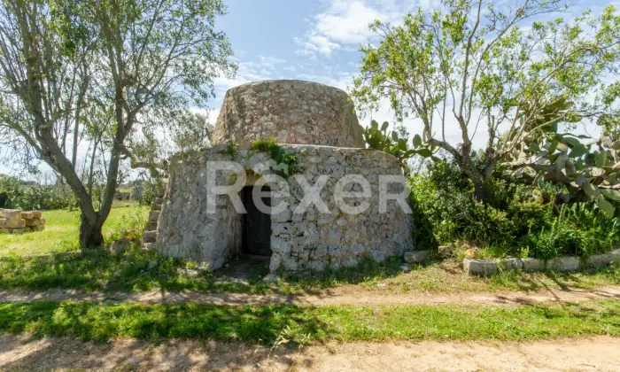 Rexer-Salve-Prestigiosa-Villa-con-Piscina-nel-cuore-del-Salento-Altro