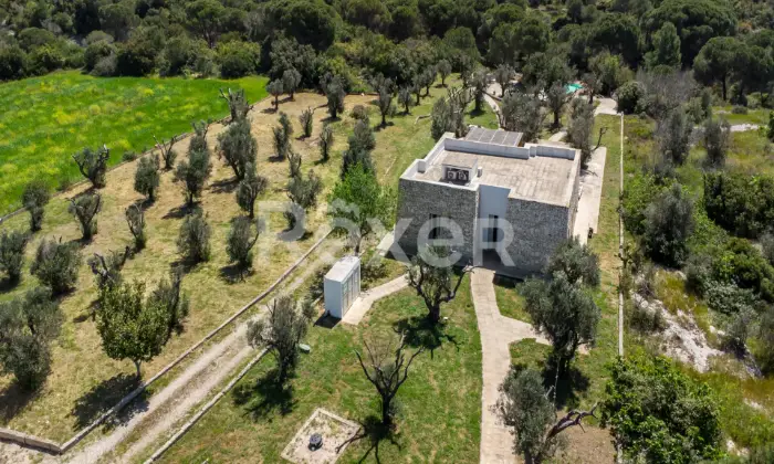 Rexer-Salve-Prestigiosa-Villa-con-Piscina-nel-cuore-del-Salento-Altro