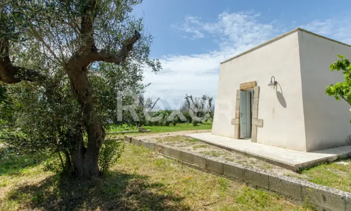 Rexer-Salve-Prestigiosa-Villa-con-Piscina-nel-cuore-del-Salento-Altro