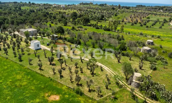 Rexer-Salve-Prestigiosa-Villa-con-Piscina-nel-cuore-del-Salento-Altro