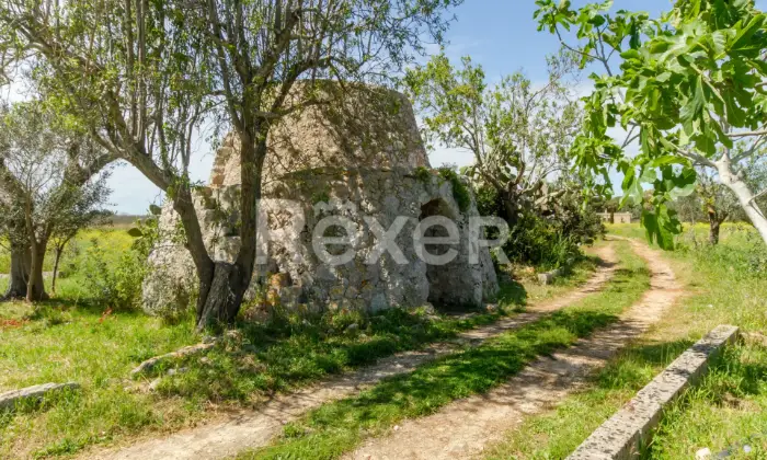 Rexer-Salve-Prestigiosa-Villa-con-Piscina-nel-cuore-del-Salento-Altro