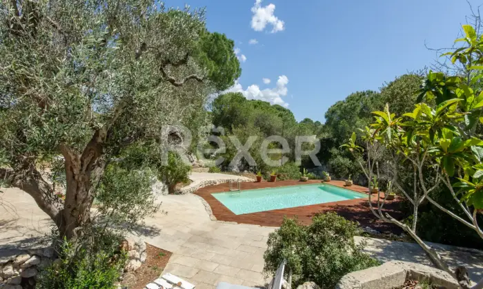 Rexer-Salve-Prestigiosa-Villa-con-Piscina-nel-cuore-del-Salento-Altro