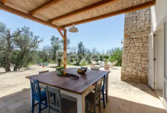 Rexer-Salve-Prestigiosa-Villa-con-Piscina-nel-cuore-del-Salento-Altro