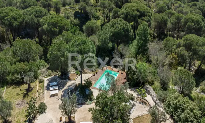 Rexer-Salve-Prestigiosa-Villa-con-Piscina-nel-cuore-del-Salento-Altro