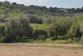 Rexer-Noto-TERRENO-CON-POSSIBILITA-DI-EDIFICARE-Terrazzo