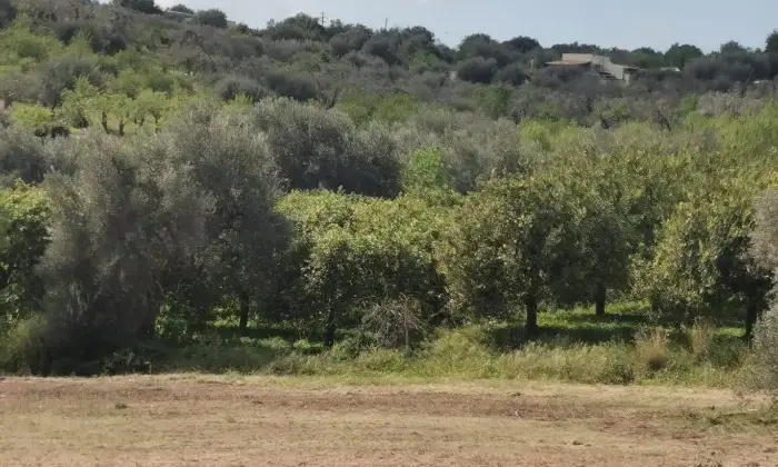 Rexer-Noto-TERRENO-CON-POSSIBILITA-DI-EDIFICARE-Terrazzo