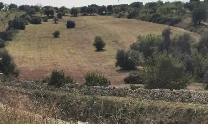 Rexer-Noto-TERRENO-CON-POSSIBILITA-DI-EDIFICARE-Terrazzo