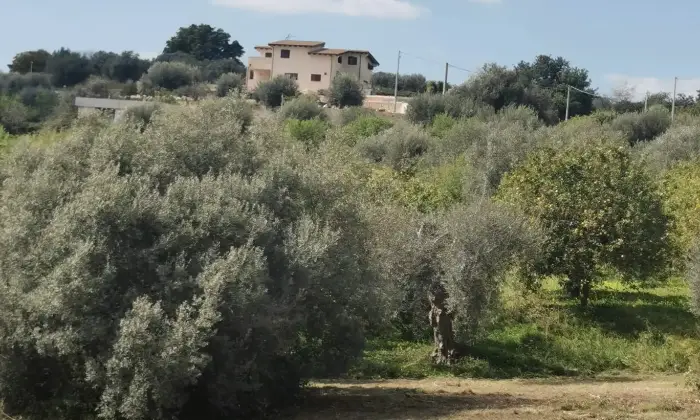 Rexer-Noto-TERRENO-CON-POSSIBILITA-DI-EDIFICARE-Terrazzo
