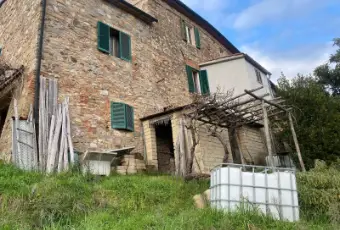 Rexer-Monticiano-Vendesi-rustico-a-Monticiano-SI-Altro