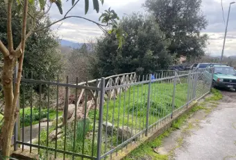 Rexer-Monticiano-Vendesi-rustico-a-Monticiano-SI-Altro