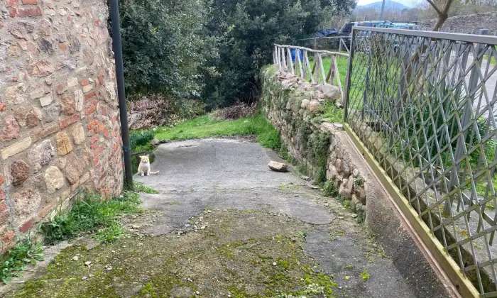Rexer-Monticiano-Vendesi-rustico-a-Monticiano-SI-Altro