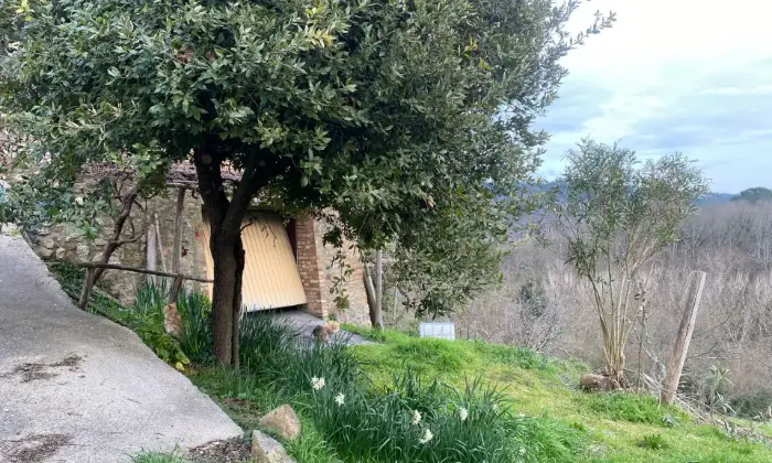 Rexer-Monticiano-Vendesi-rustico-a-Monticiano-SI-Altro