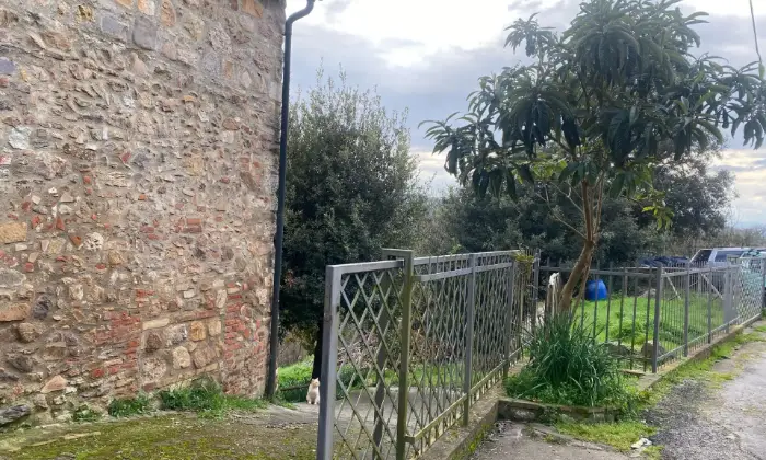 Rexer-Monticiano-Vendesi-rustico-a-Monticiano-SI-Altro
