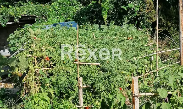 Rexer-Scilla-Vendesi-Casa-indipendente-con-vista-mozzafiato-sul-mare-a-Scilla-Altro