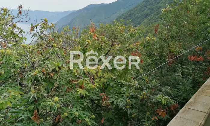 Rexer-Scilla-Vendesi-Casa-indipendente-con-vista-mozzafiato-sul-mare-a-Scilla-Altro
