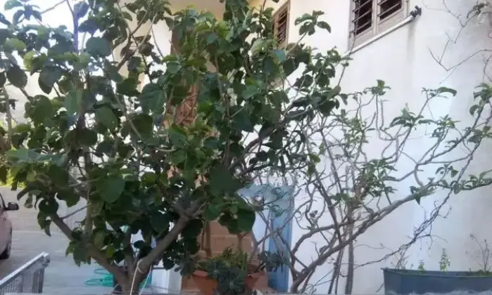 Rexer-Marina-di-Gioiosa-Ionica-Vendesi-casa-indipendente-a-Marina-di-Gioiosa-Ionica-Altro