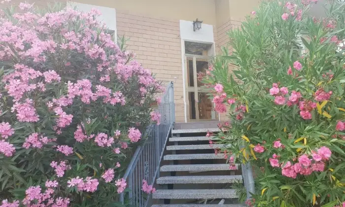 Rexer-Molinella-Vendesi-Villa-Indipendente-con-Ampio-Giardino-a-Selva-Malvezzi-Molinella-BO-Altro