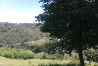 Rexer-Monzuno-Vendesi-Casa-indipendente-in-Localit-Castel-Merlino-Monzuno-Altro