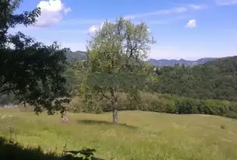 Rexer-Monzuno-Vendesi-Casa-indipendente-in-Localit-Castel-Merlino-Monzuno-Altro