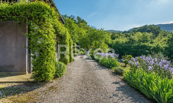 Rexer-Torreglia-Splendido-rustico-composto-da-due-ville-sui-Colli-Euganei-Altro