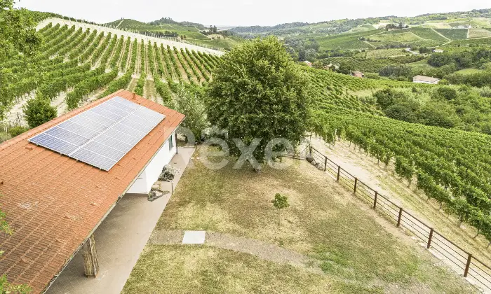 Rexer-Mombaruzzo-Prestigiosa-Residenza-Nobiliare-Ristrutturata-a-Mombaruzzo-Altro