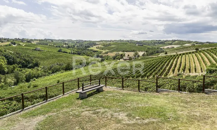 Rexer-Mombaruzzo-Prestigiosa-Residenza-Nobiliare-Ristrutturata-a-Mombaruzzo-Altro