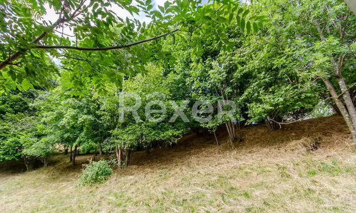Rexer-Ribordone-Bilocale-in-vendita-a-Talosio-Riva-Rostet-Parco-del-Gran-Paradiso-Altro