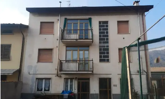 Rexer-Peia-ve-Altro