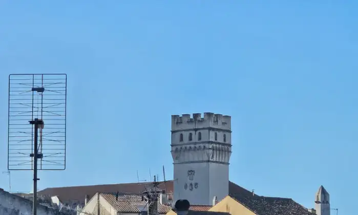 Rexer-Vico-del-Gargano-Vendesi-Appartamento-a-Vico-del-Gargano-FG-Altro