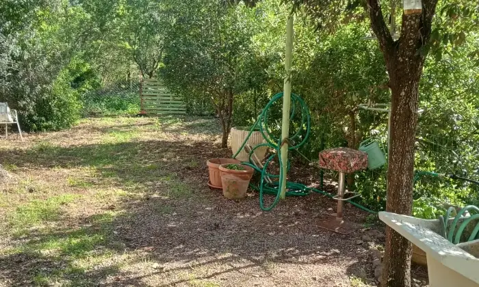 Rexer-Porto-Azzurro-Vendesi-in-campagna-a-Porto-Azzurro-grazioso-Appartamento-Altro