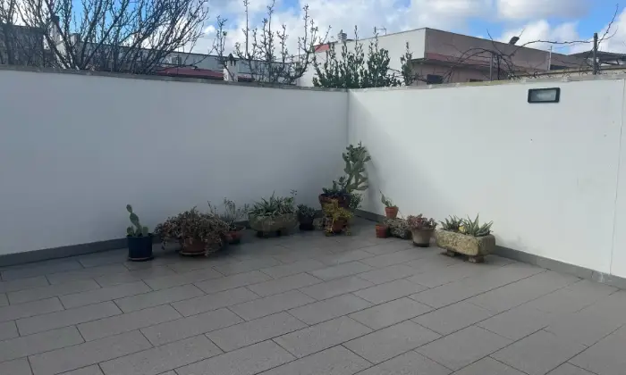 Rexer-Sogliano-Cavour-Casa-indipendente-in-vendita-in-via-Cerova-Sogliano-Cavour-Giardino