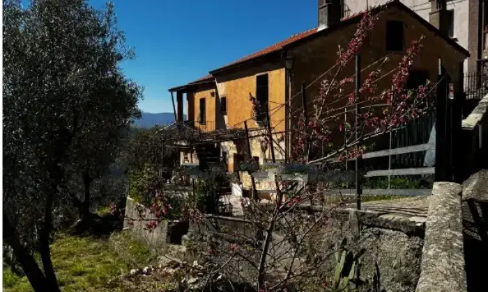 Rexer-Rogliano-Vendesi-Villa-indipendente-con-terreno-e-uliveti-a-Rogliano-CS-Discesa-Clausi-Altro