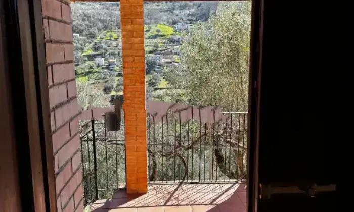Rexer-Rogliano-Vendesi-Villa-indipendente-con-terreno-e-uliveti-a-Rogliano-CS-Discesa-Clausi-Altro