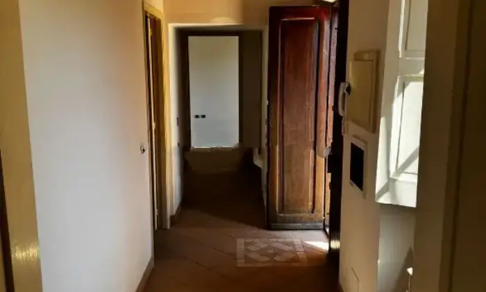 Rexer-Rogliano-Vendesi-Villa-indipendente-con-terreno-e-uliveti-a-Rogliano-CS-Discesa-Clausi-Altro