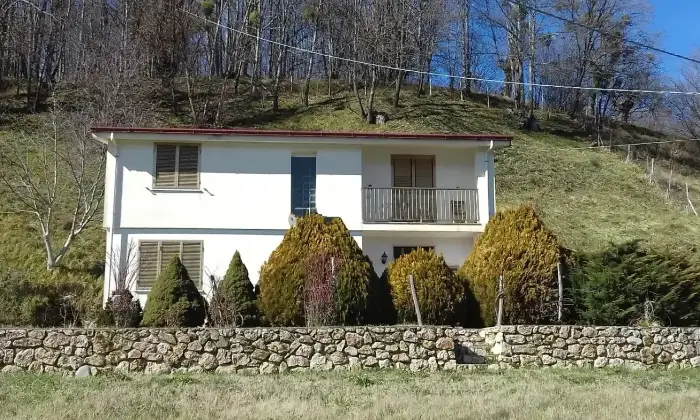 Rexer-Carolei-Vendesi-Casa-Indipendente-con-Ampio-Terreno-a-Carolei-Altro