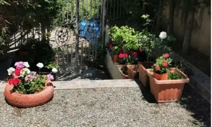 Rexer-San-Nicola-Arcella-Vendesi-villa-a-San-Nicola-Arcella-Altro