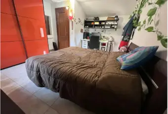 Rexer-San-Nicola-Arcella-Vendesi-villa-a-San-Nicola-Arcella-Altro