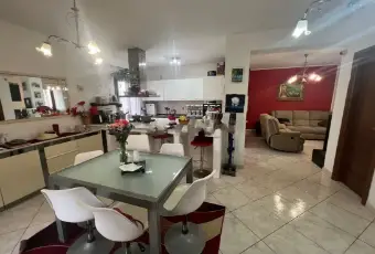 Rexer-San-Nicola-Arcella-Vendesi-villa-a-San-Nicola-Arcella-Altro