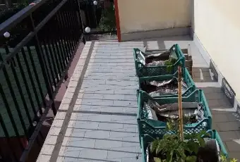 Rexer-Amantea-Vendesi-Appartamento-a-Amantea-Altro